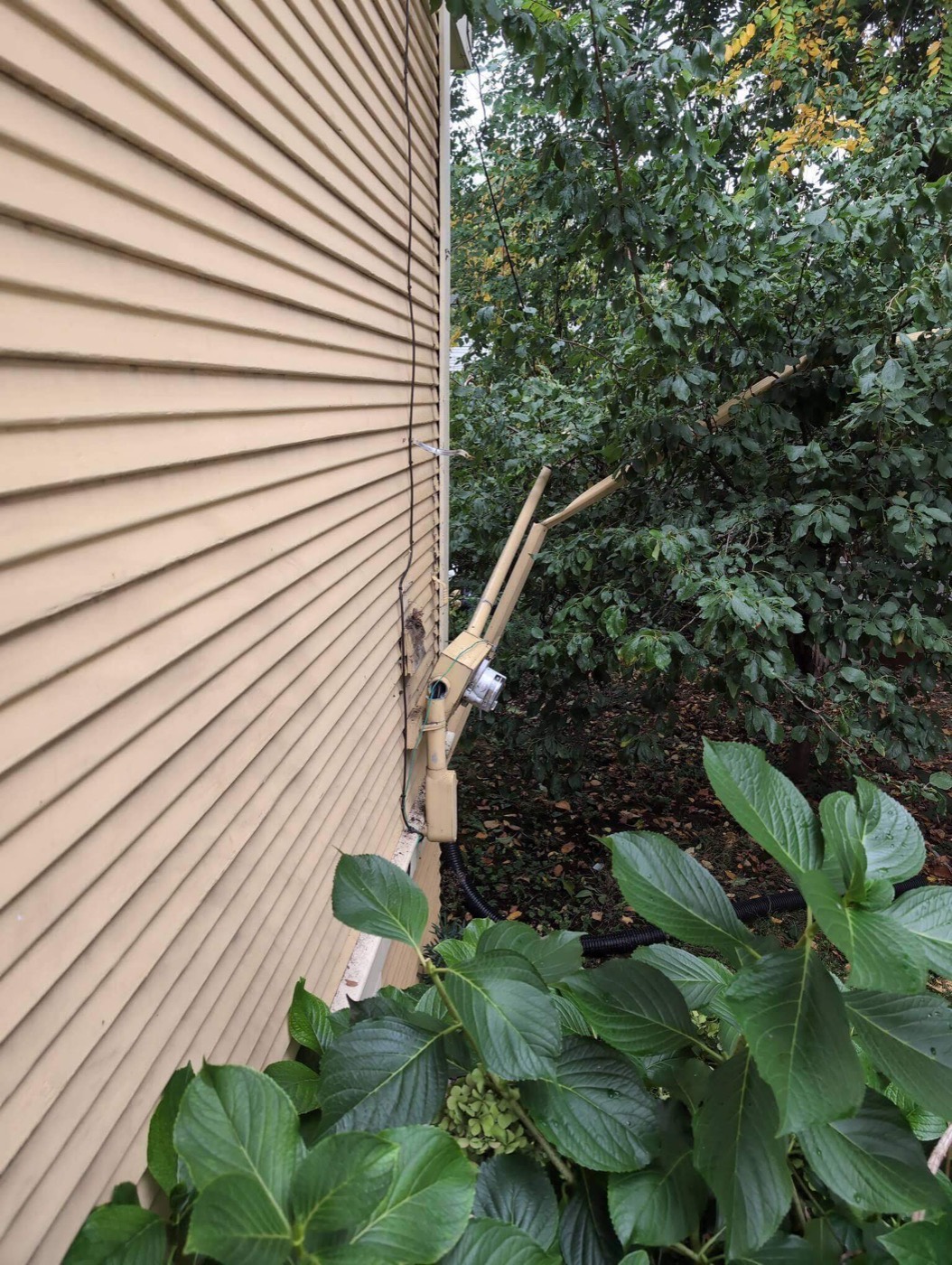 Damaged or obstructed service mast area near exterior wall with vegetation affecting electrical service in Portland OR