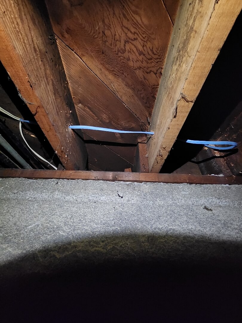 Exposed ceiling framing with old knob and tube wiring being removed during electrical upgrade in Portland OR
